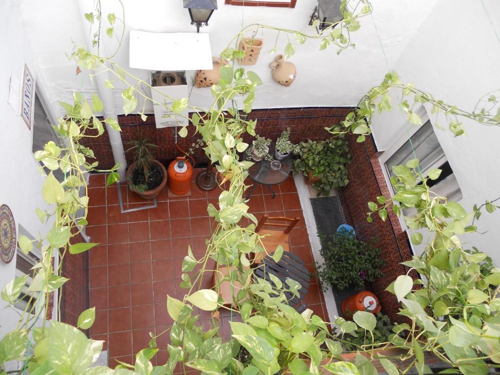 Pension Santa Maria La Blanca Σεβίλλη Εξωτερικό φωτογραφία